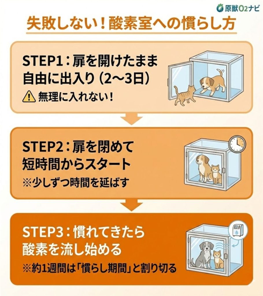 ペット酸素室の失敗しない慣らし方3ステップ。扉を開けたままから始め、短時間扉を閉め、最後に酸素を流す手順。
