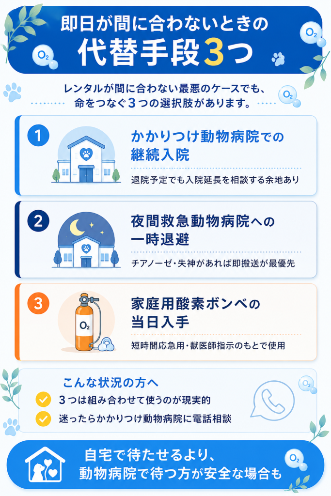 即日レンタルが間に合わない場合の代替手段3つ 動物病院・夜間救急・家庭用酸素缶