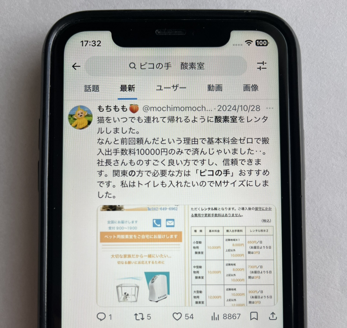 編集部が比較確認のために撮影した画像8