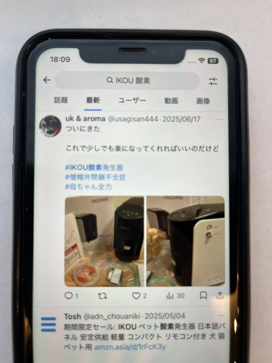 編集部が比較確認のために撮影した画像9