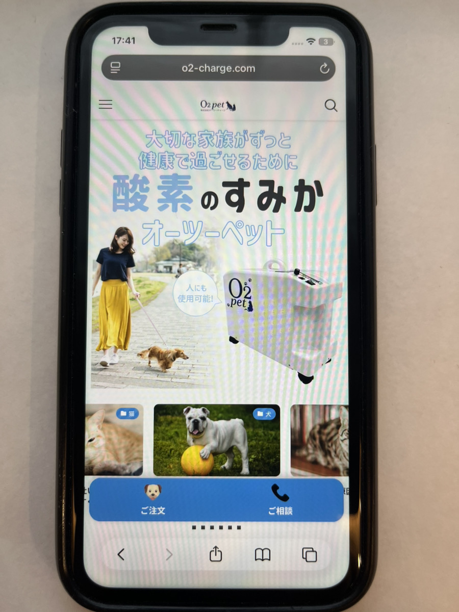 編集部が比較確認のために撮影した画像2