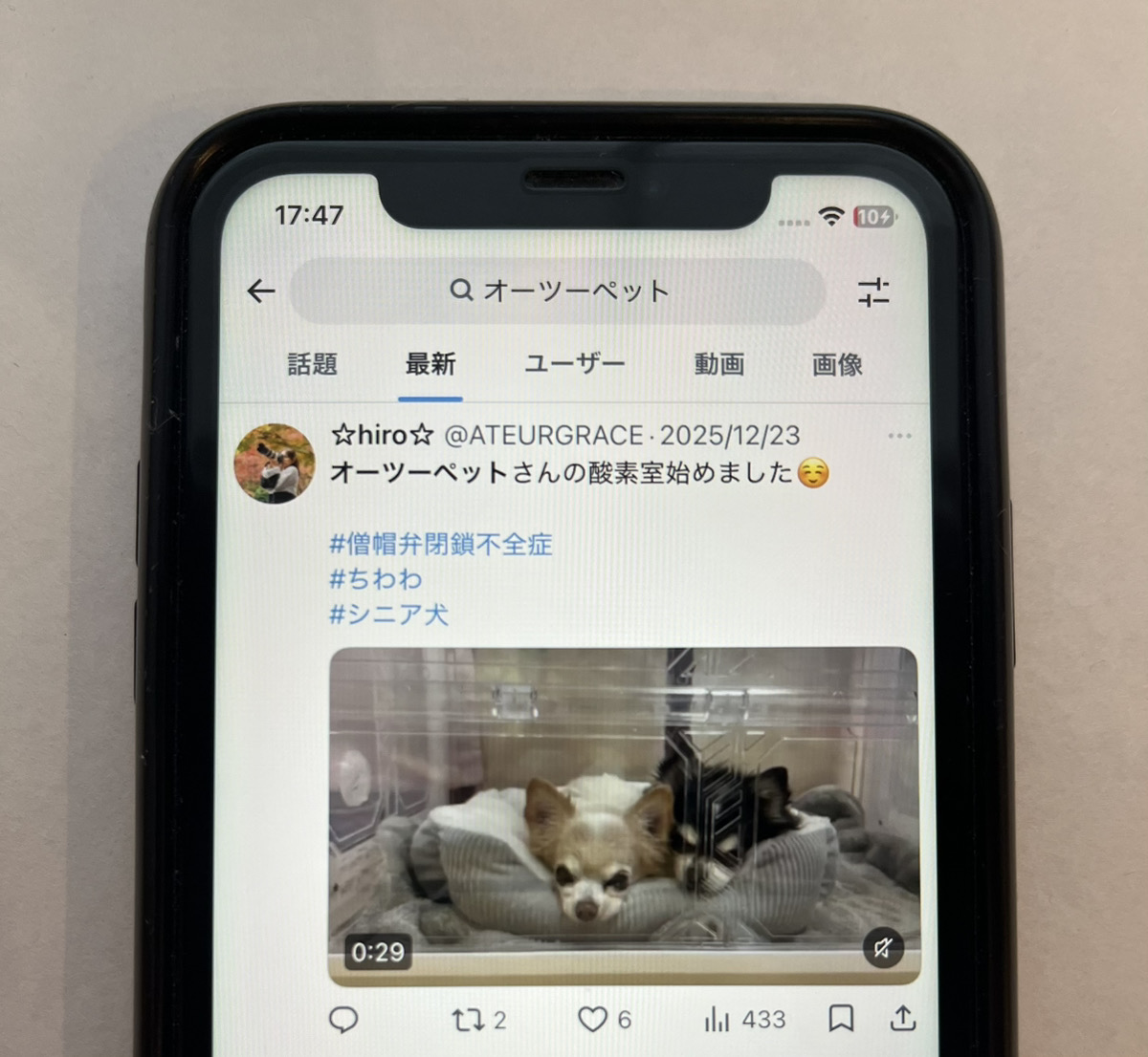 編集部が比較確認のために撮影した画像3