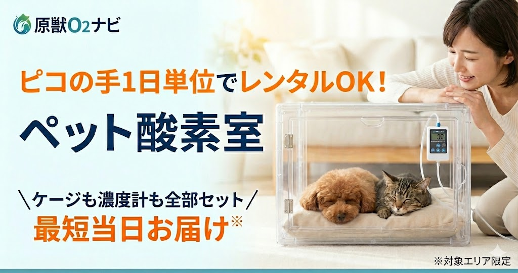 ピコの手のサービス紹介アイキャッチ。1日単位でレンタル可能、ケージや濃度計も全部セット、最短当日お届けの特徴を訴求。