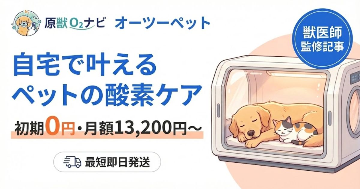 オーツーペット（O2 Pet）のサービス紹介アイキャッチ。初期費用0円、月額1.3万円から始められるペット用在宅酸素室レンタルの特徴を訴求