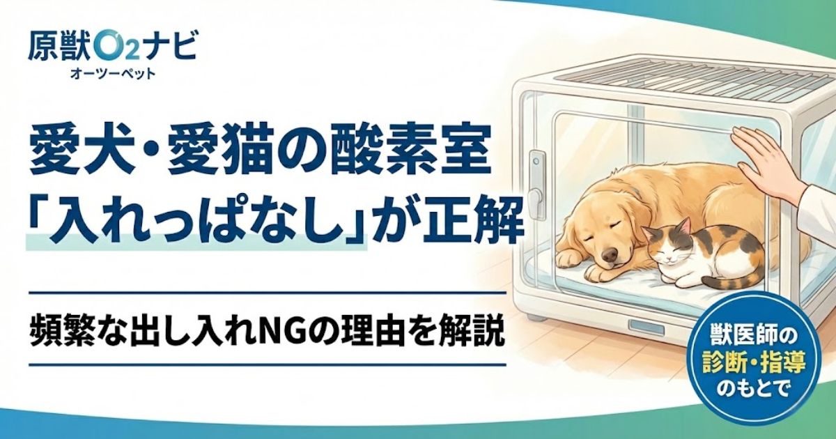 ペット(犬猫)を酸素室に入れっぱなしで大丈夫?安全な条件と注意点
