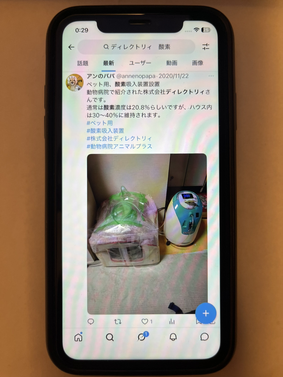 編集部が比較確認のために撮影した画像11