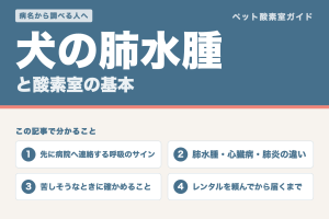 犬の肺水腫と酸素室の基本。先に病院へ連絡する呼吸のサイン、肺水腫・心臓病・肺炎の違い、苦しそうなときに確かめること、レンタルを頼んでから届くまで