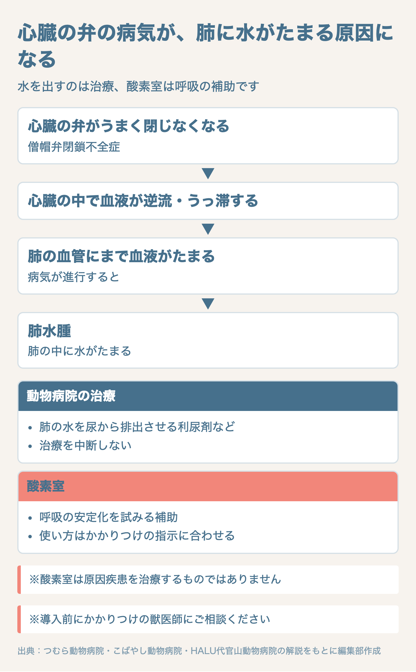 図解:僧帽弁閉鎖不全症で肺に水がたまる仕組み