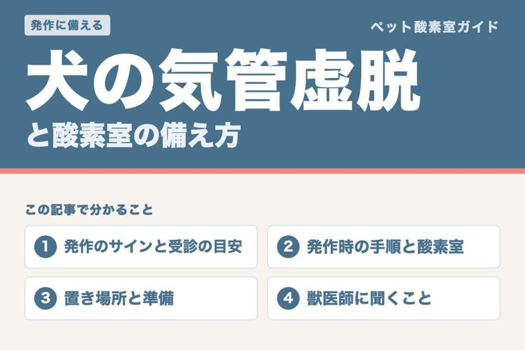 犬の気管虚脱と酸素室の備え方。発作のサインと受診の目安、発作時の手順と酸素室、置き場所と準備、獣医師に聞くことを案内する記事の表紙