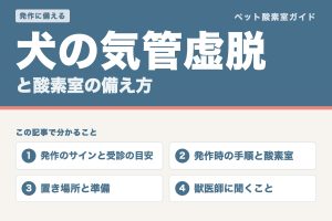 犬の気管虚脱と酸素室の備え方。発作のサインと受診の目安、発作時の手順と酸素室、置き場所と準備、獣医師に聞くことを案内する記事の表紙