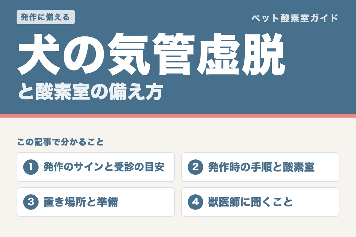 犬の気管虚脱と酸素室の備え方。発作のサインと受診の目安、発作時の手順と酸素室、置き場所と準備、獣医師に聞くことを案内する記事の表紙