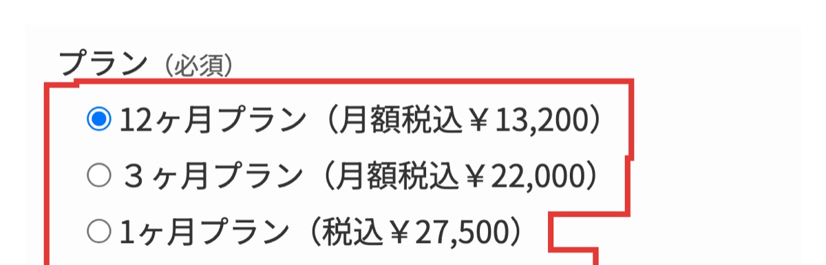 オーツーチャージ公式の購入ページ。12ヶ月、3ヶ月、1ヶ月のレンタルプランの月額(税込)を並べた部分
