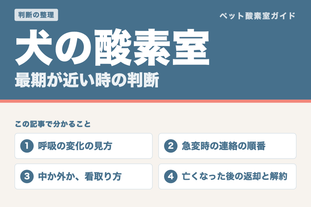 犬の酸素室と最期の時間。呼吸の変化の見方、急変時の連絡の順番、中か外かの看取り方、亡くなった後の返却と解約を整理した記事