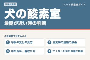 犬の酸素室と最期の時間。呼吸の変化の見方、急変時の連絡の順番、中か外かの看取り方、亡くなった後の返却と解約を整理した記事
