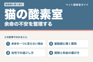 猫の酸素室と余命の不安。余命を一つに言えない理由、獣医師に聞く質問、自宅での過ごし方、期間と料金の選び方を整理した記事